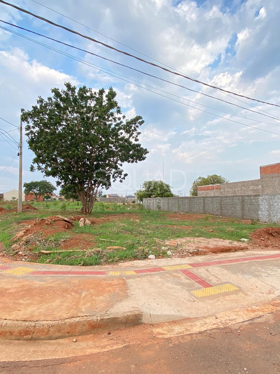 Terreno ? venda, SAGRAD FAMILIA, RONDONOPOLIS - MT