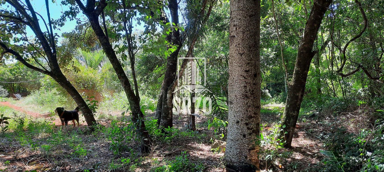 SR 70 Imveis em Quedas do Iguau