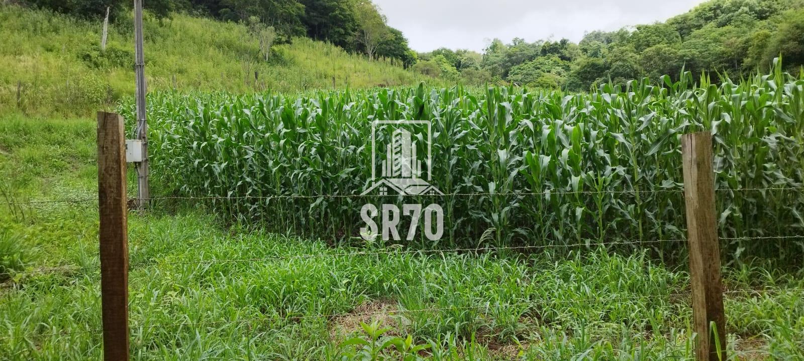 SR 70 Imveis em Quedas do Iguau