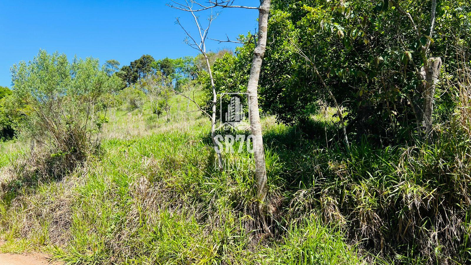 SR 70 Imveis em Quedas do Iguau