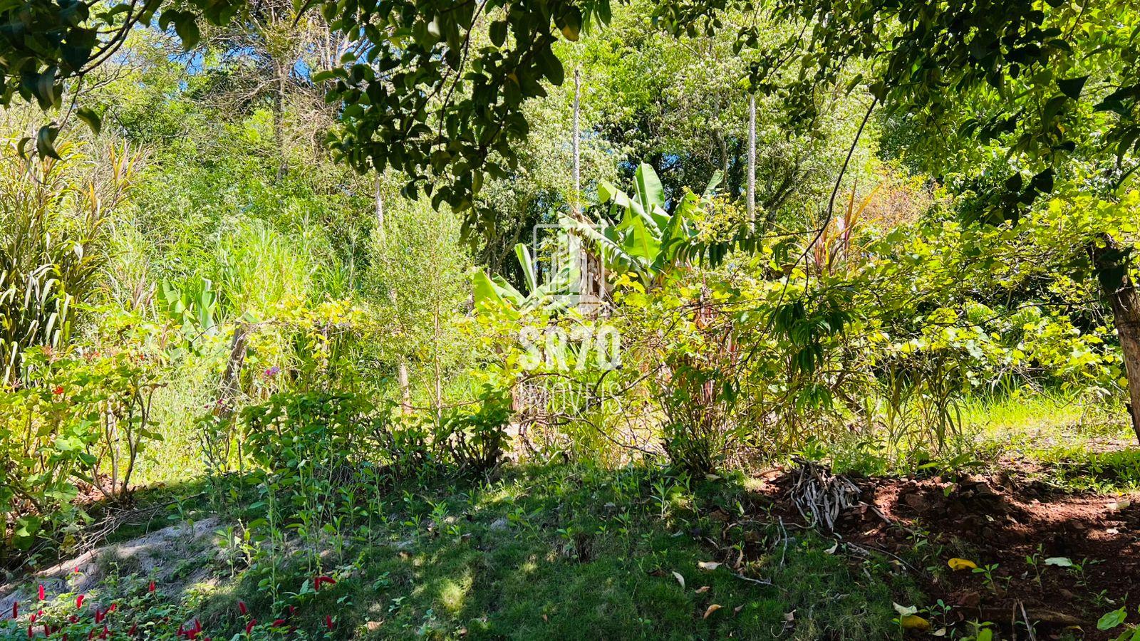 SR 70 Imveis em Quedas do Iguau