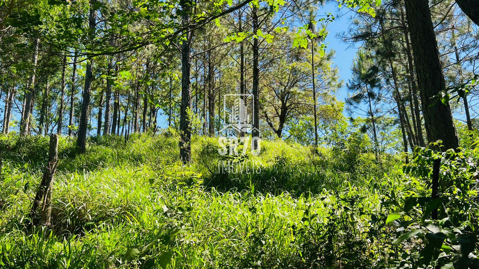 SR 70 Imveis em Quedas do Iguau