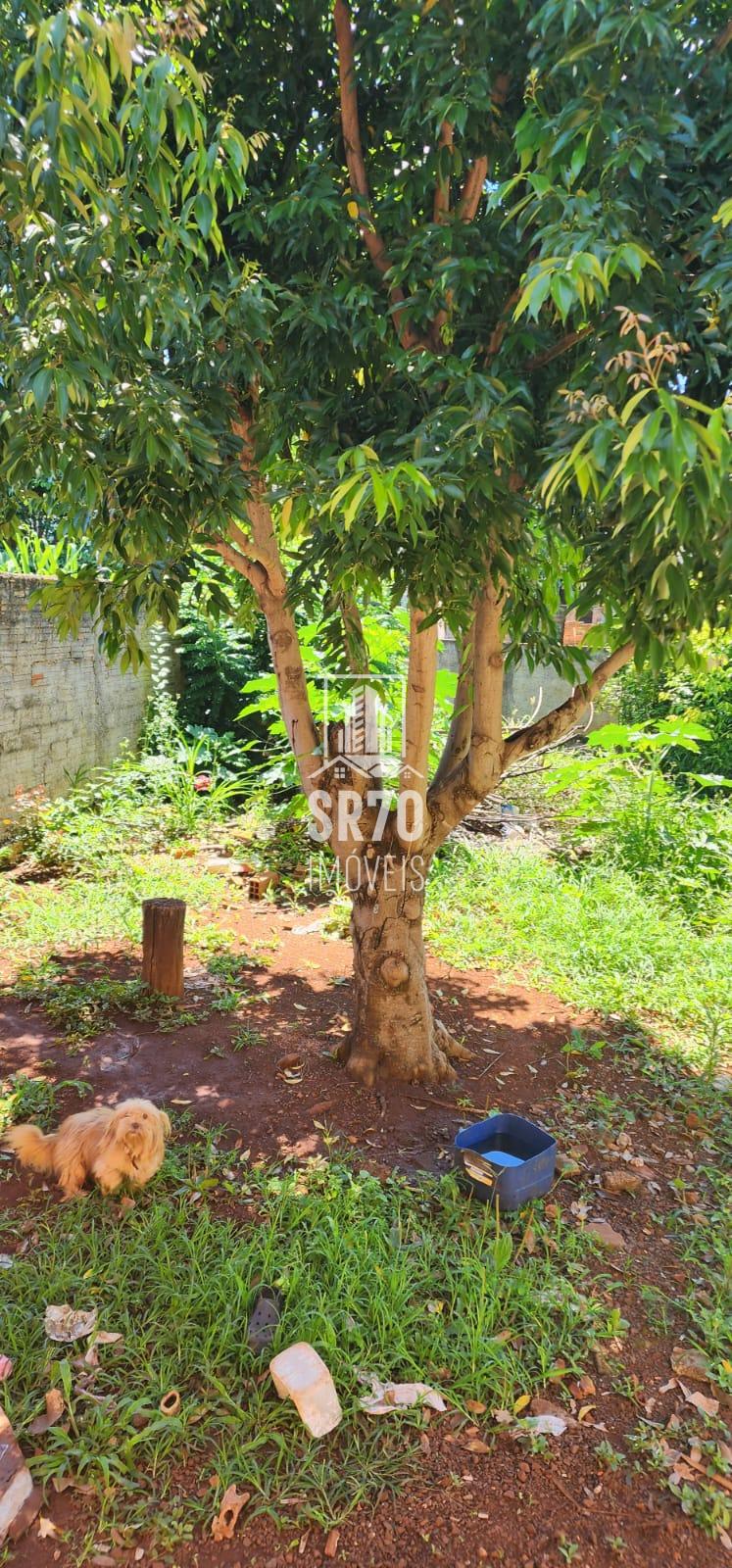 SR 70 Im�veis em Quedas do Igua�u