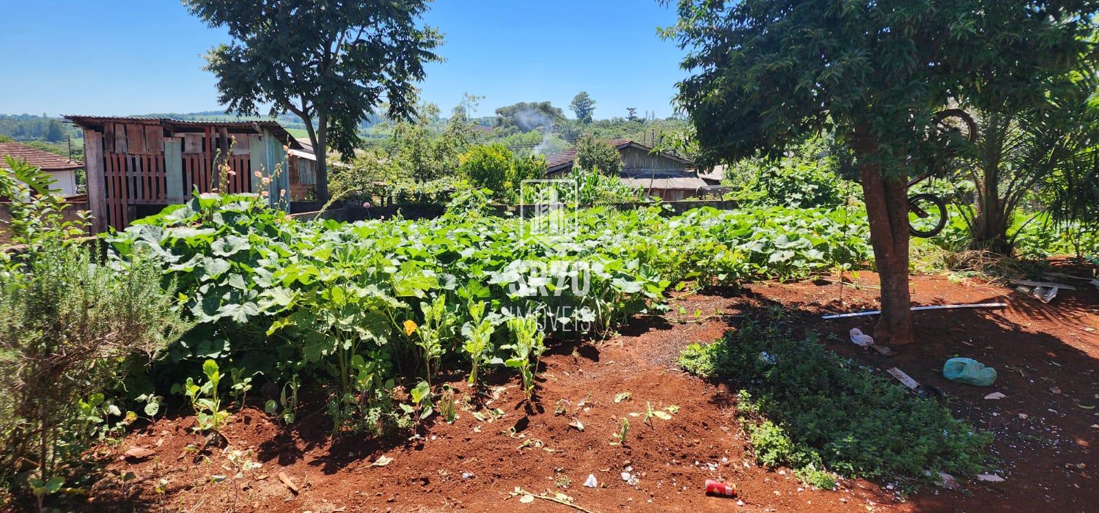 SR 70 Im�veis em Quedas do Igua�u