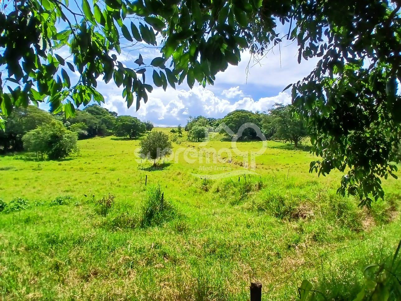 Suprema Im�veis em Medianeira Paran�