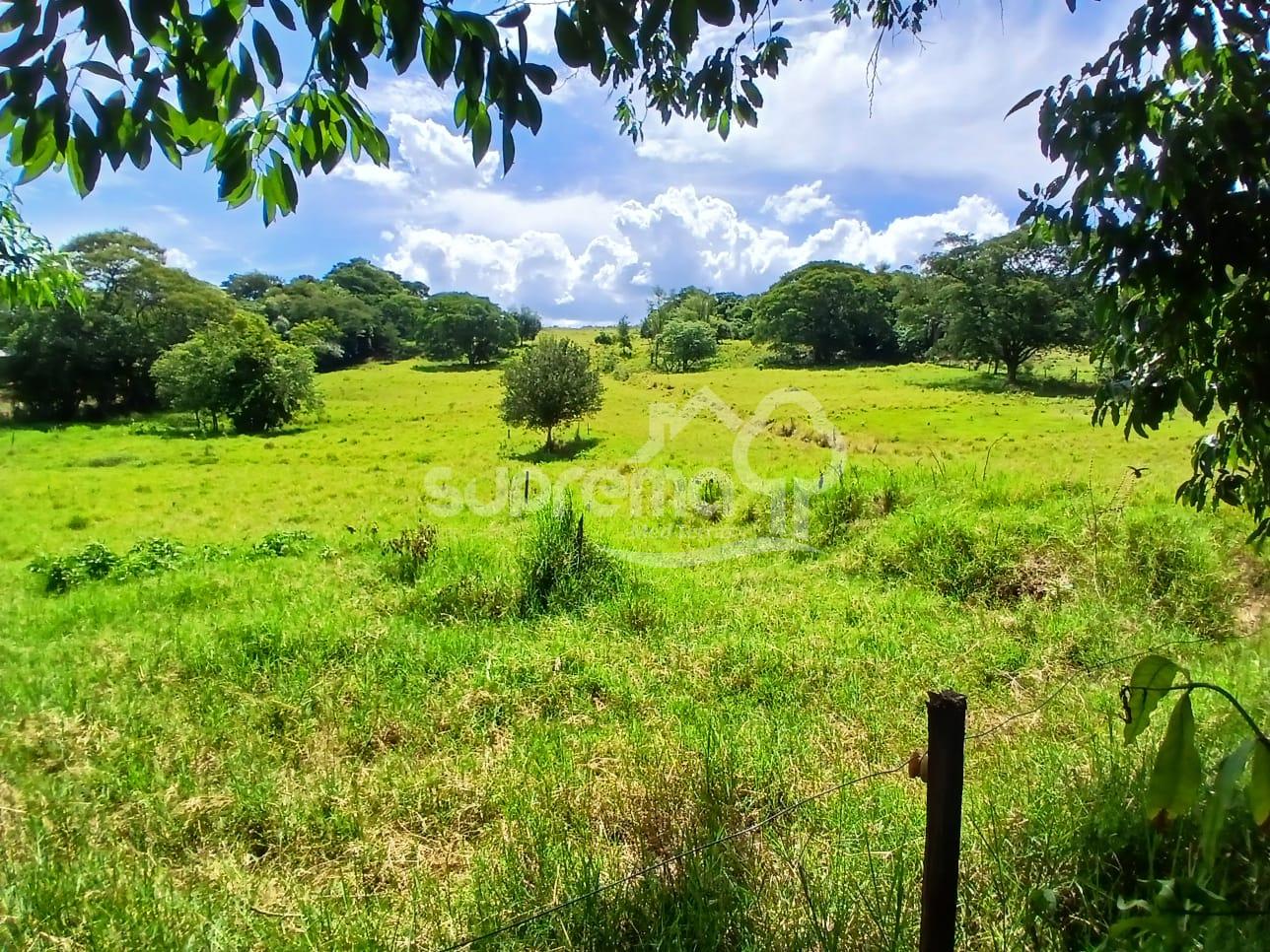 Suprema Im�veis em Medianeira Paran�