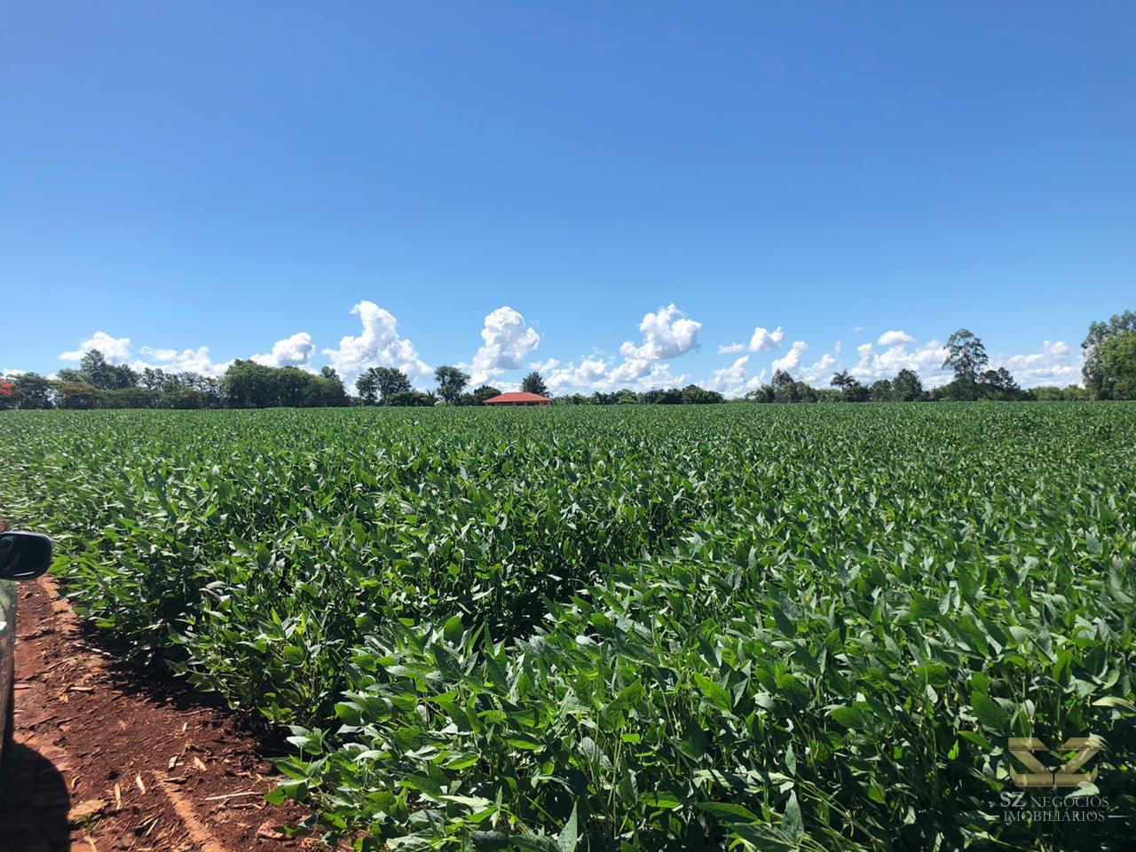 ÁREA À VENDA - PRÓXIMO AO ICLI - IATE CLUBE, FOZ DO IGUAÇU - PR