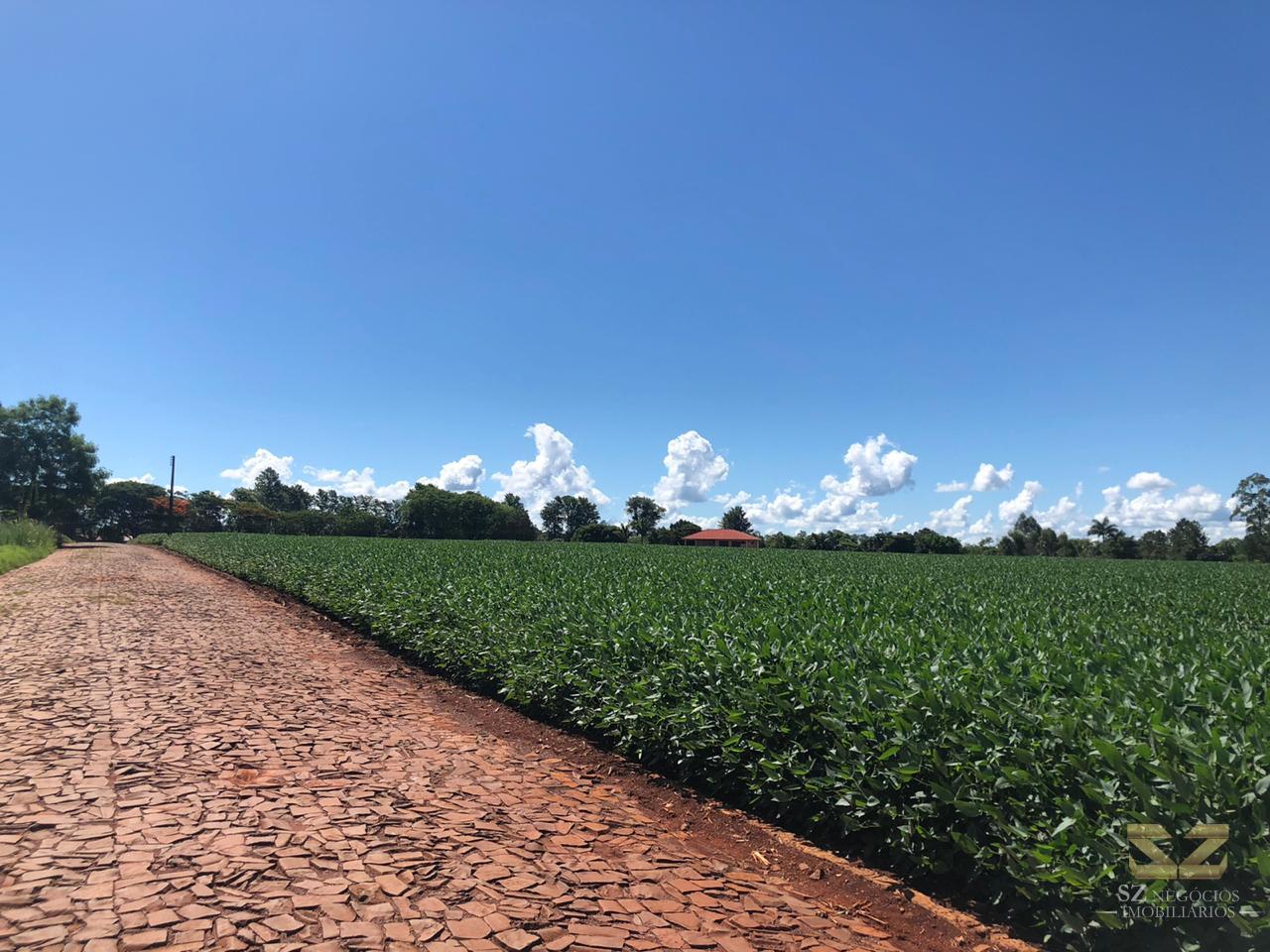 ÁREA À VENDA - PRÓXIMO AO ICLI - IATE CLUBE, FOZ DO IGUAÇU - PR