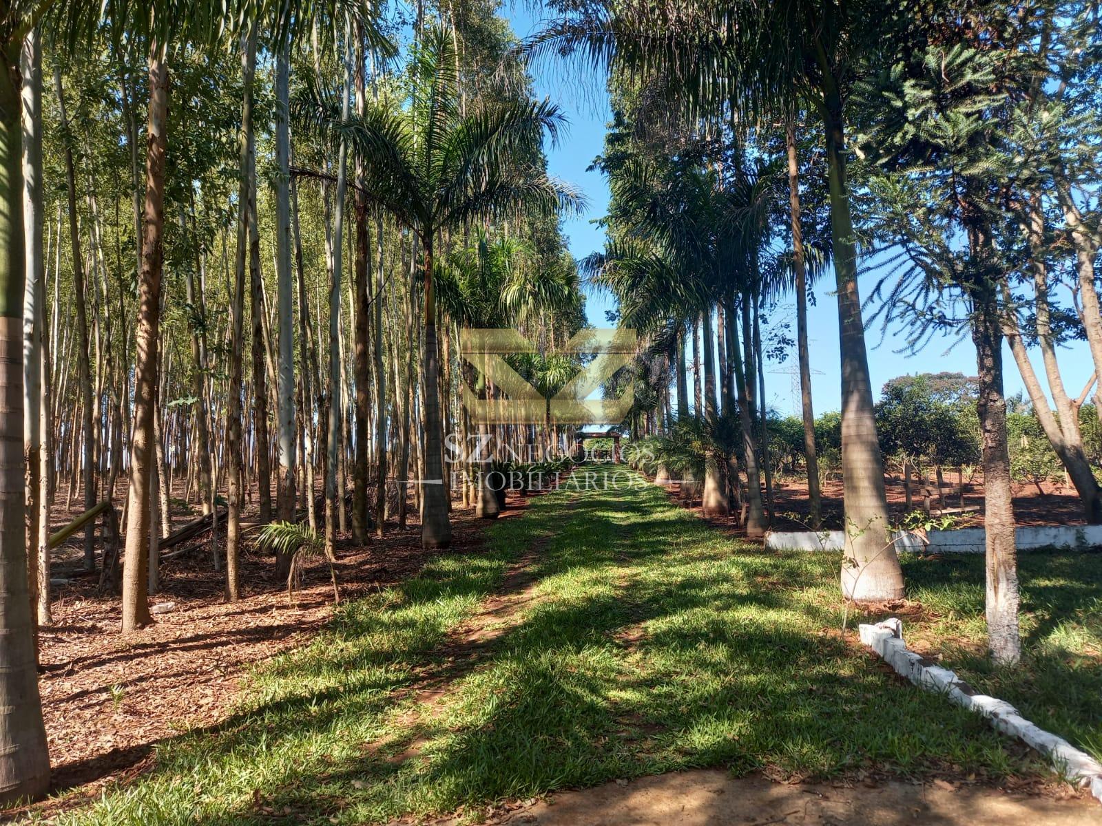 CHÁCARA Á VENDA, COM 67.966,00M² - VILA VITORASSI, FOZ DO IGUAÇU