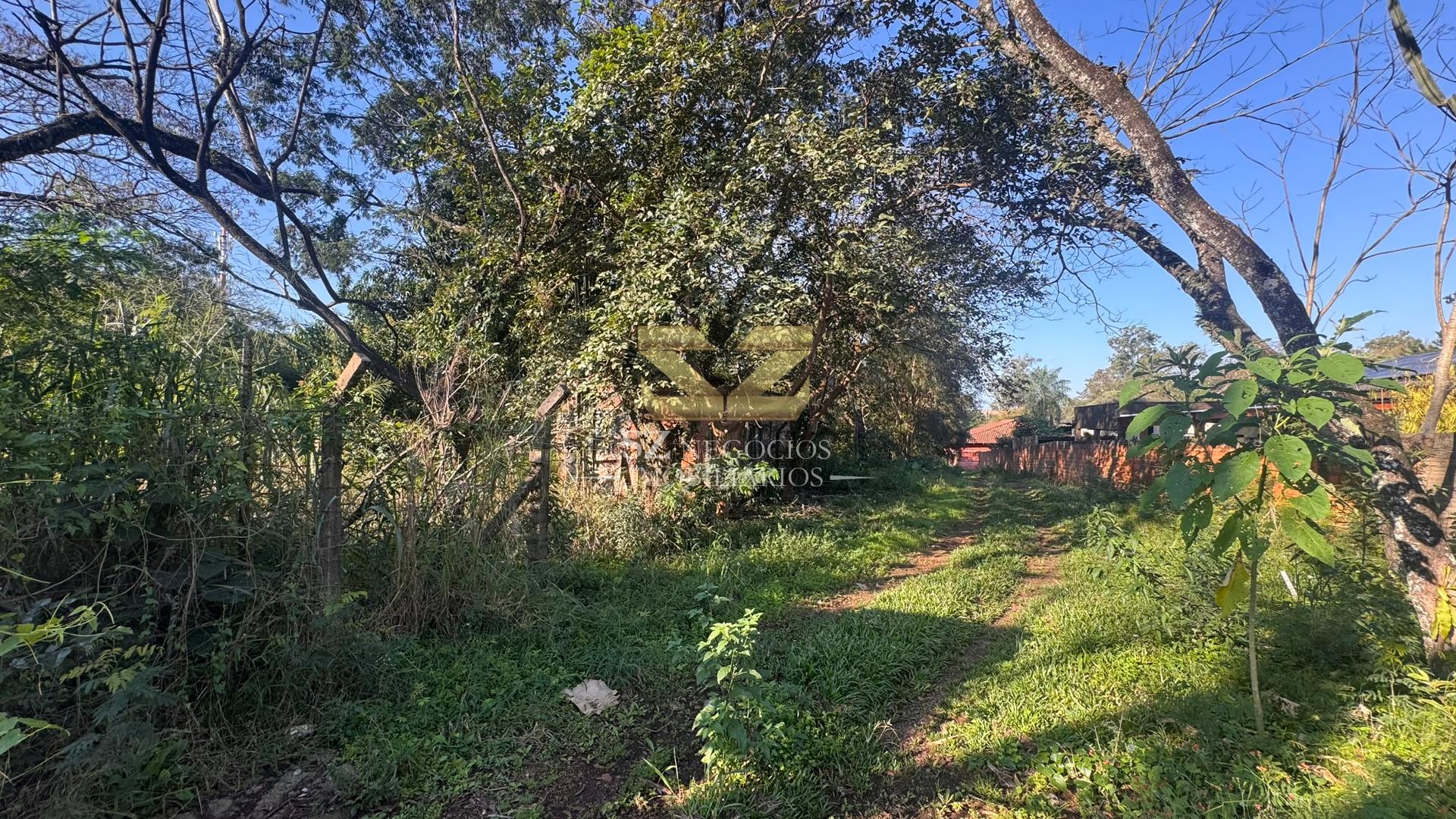 TERRENO COMERCIAL À VENDA, NA AVENIDA TANCREDO NEVES, FOZ DO IGUAÇU - PR