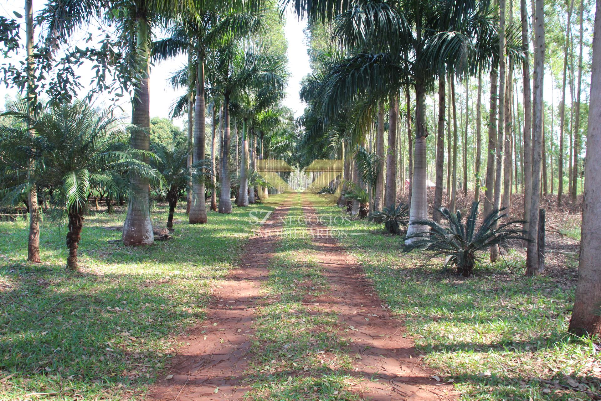 CHÁCARA Á VENDA, COM 67.966,00M² - VILA VITORASSI, FOZ DO IGUAÇU