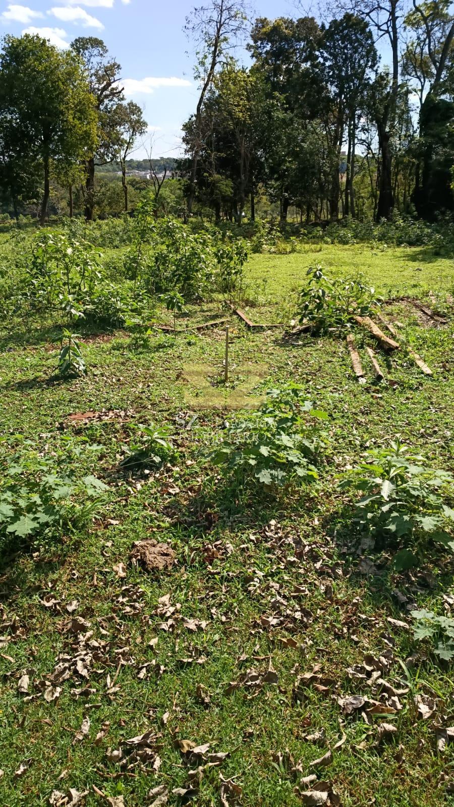 TERRENO À VENDA COM 7.265,84M² NA MATA VERDE, FOZ DO IGUAÇU - PR