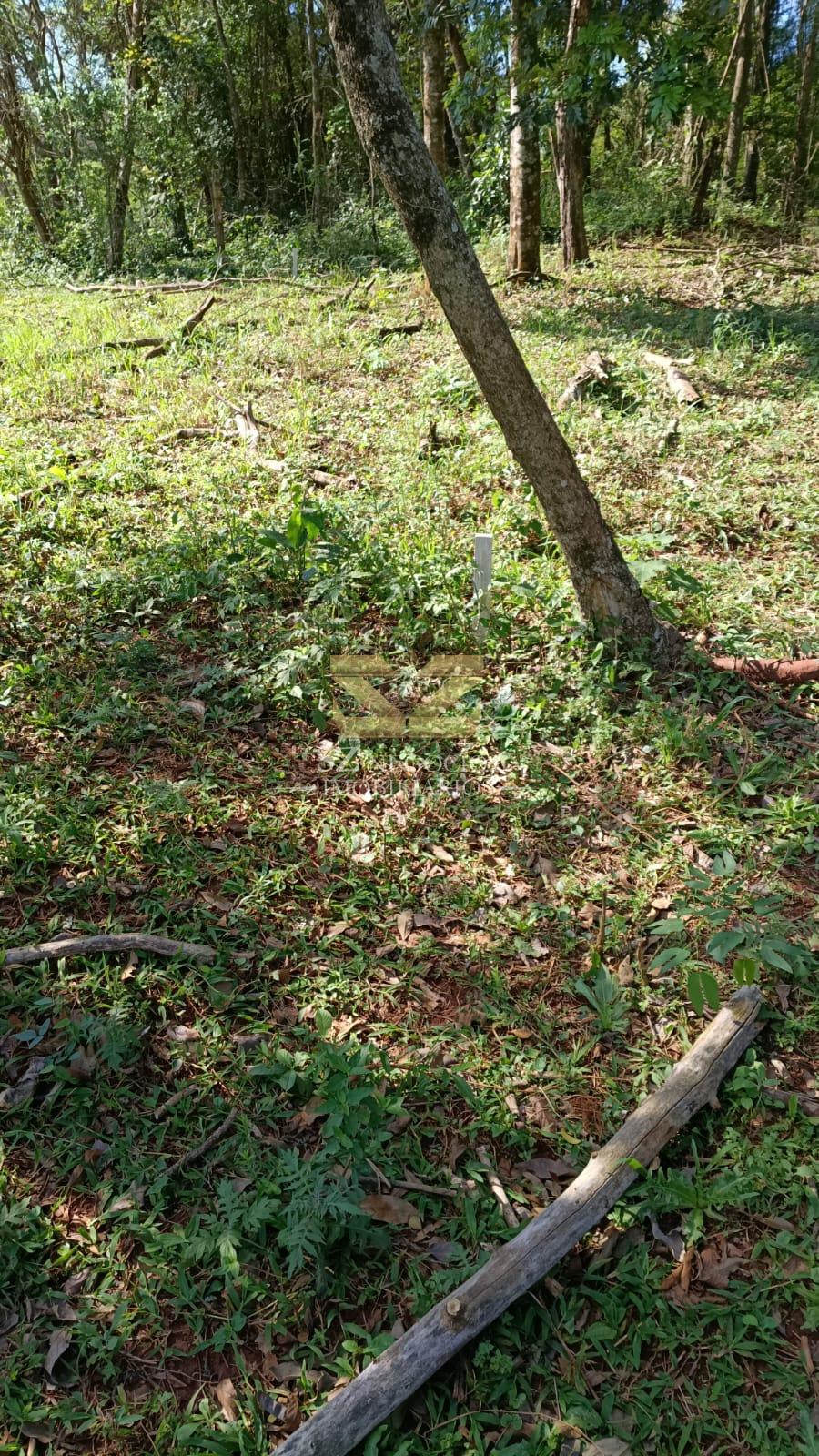 TERRENO À VENDA COM 7.265,84M² NA MATA VERDE, FOZ DO IGUAÇU - PR