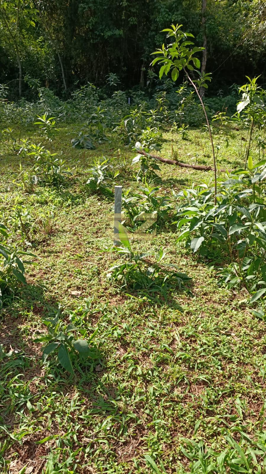 TERRENO À VENDA COM 7.265,84M² NA MATA VERDE, FOZ DO IGUAÇU - PR