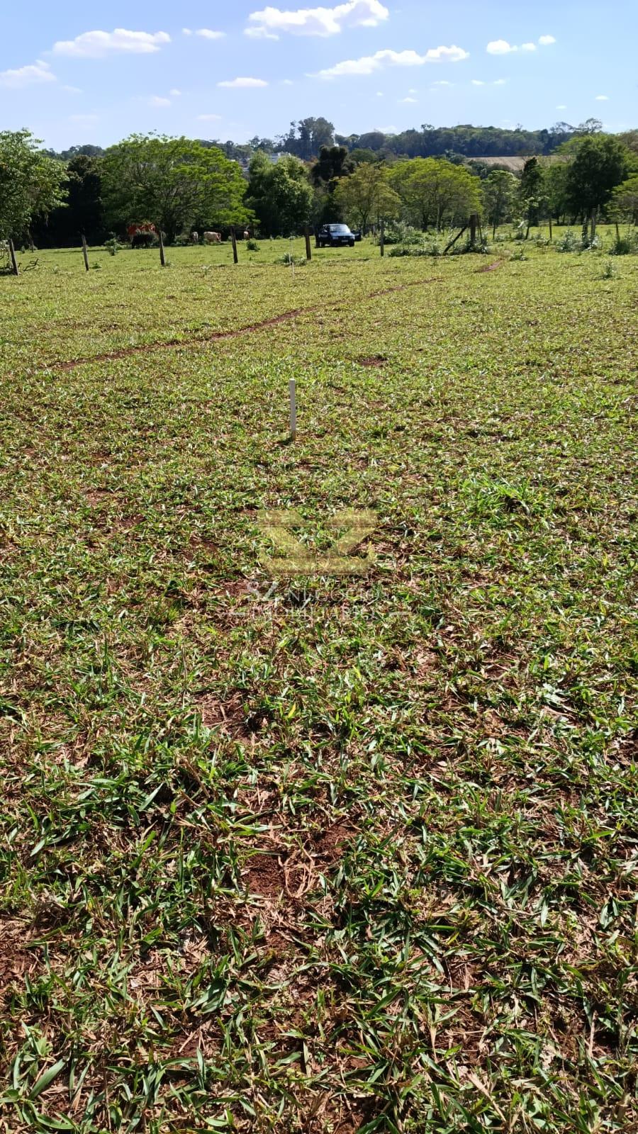 TERRENO À VENDA COM 7.265,84M² NA MATA VERDE, FOZ DO IGUAÇU - PR