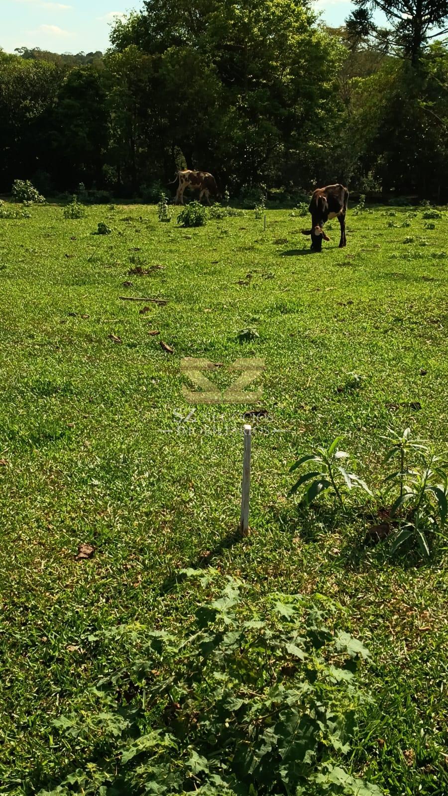 TERRENO À VENDA COM 7.265,84M² NA MATA VERDE, FOZ DO IGUAÇU - PR