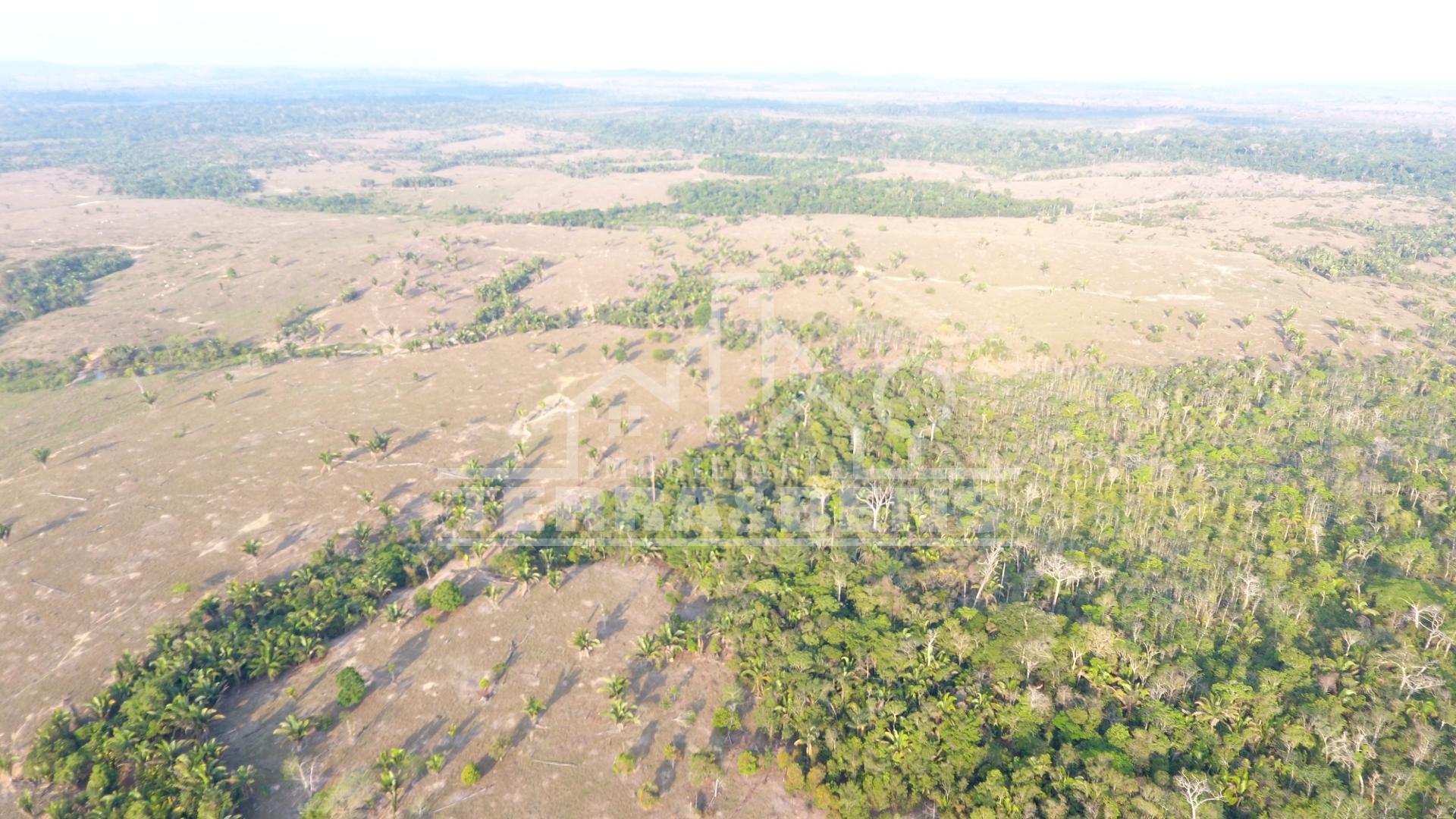 Fazenda, ZONA RURAL, MACHADINHO D OESTE - RO