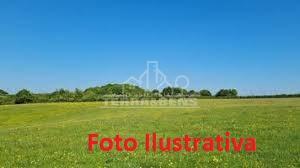 Fazenda à venda, ZONA RURAL, Machadinho D Oeste - RO com 1100 hectares  formado