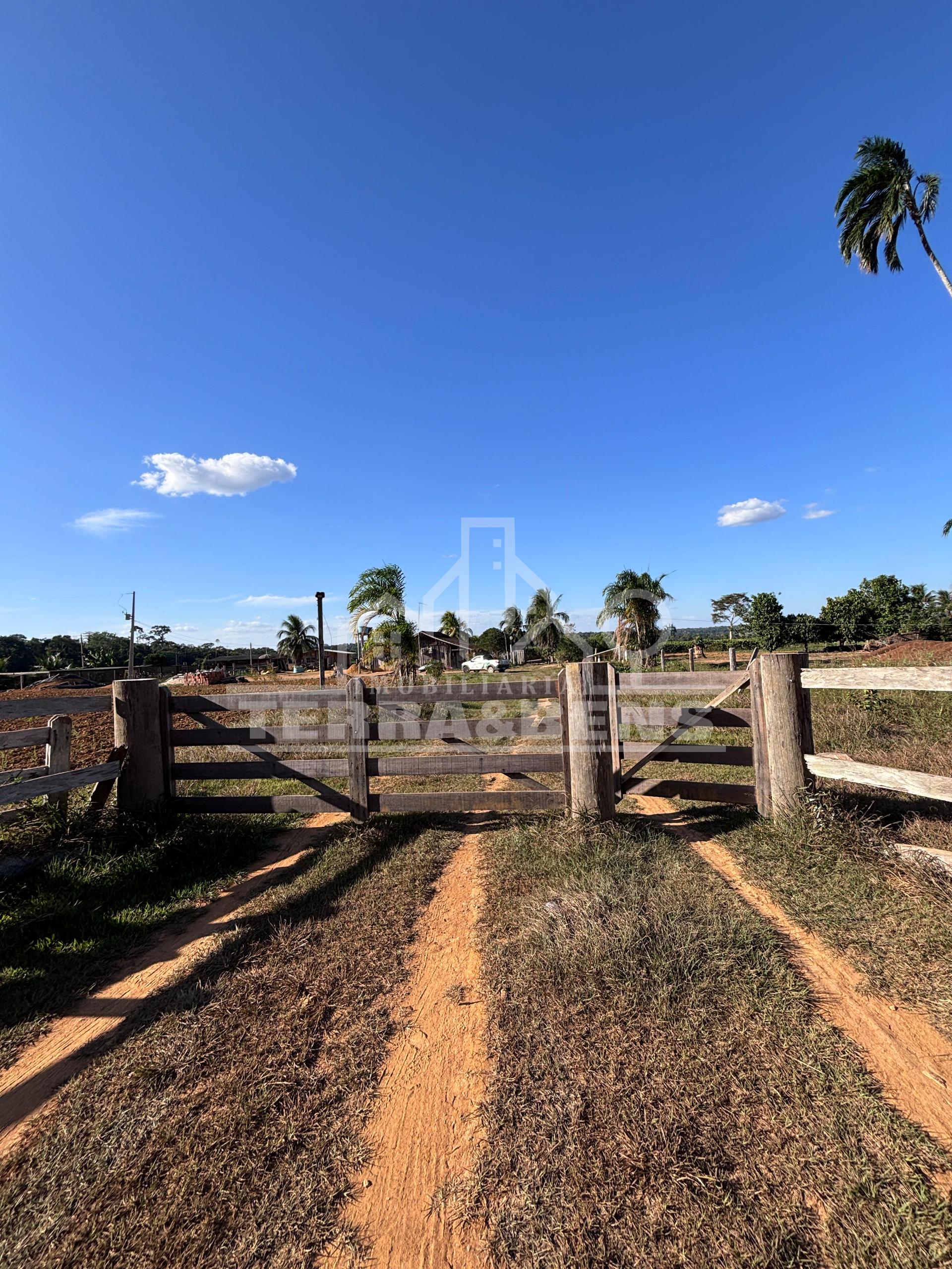 SITIO Á VENDA 28KM DA CIDADE DE MACHADINHO MA45, 21 ALQUEIRE, SENDO 6 CALCARIADO E ARRADO PARA CAFÉ,