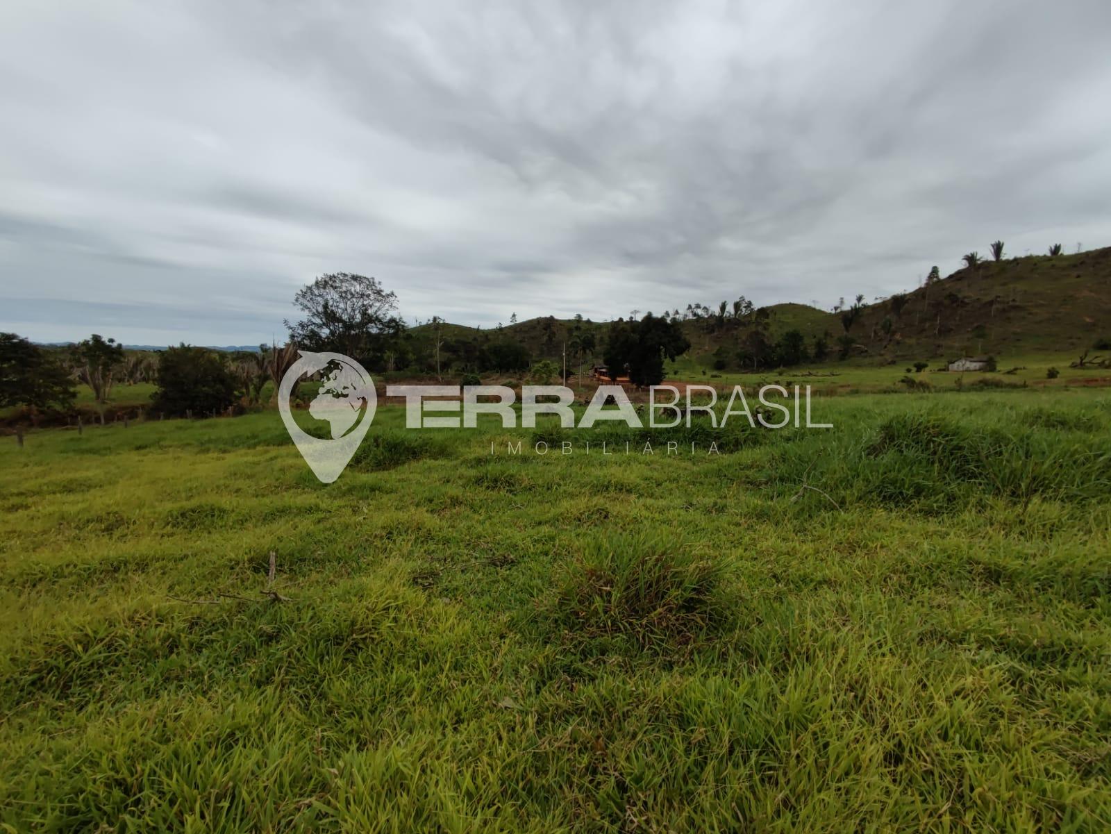 Sítio 23 Alqueires Escriturado,  Linha 202 em Vale do Paraíso-RO