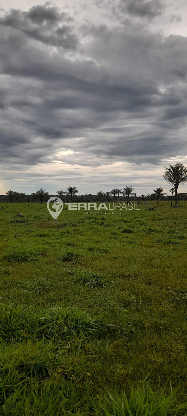 Fazenda  108 Alqueires, com 90 abertos, planta 60 Alqueires, S...