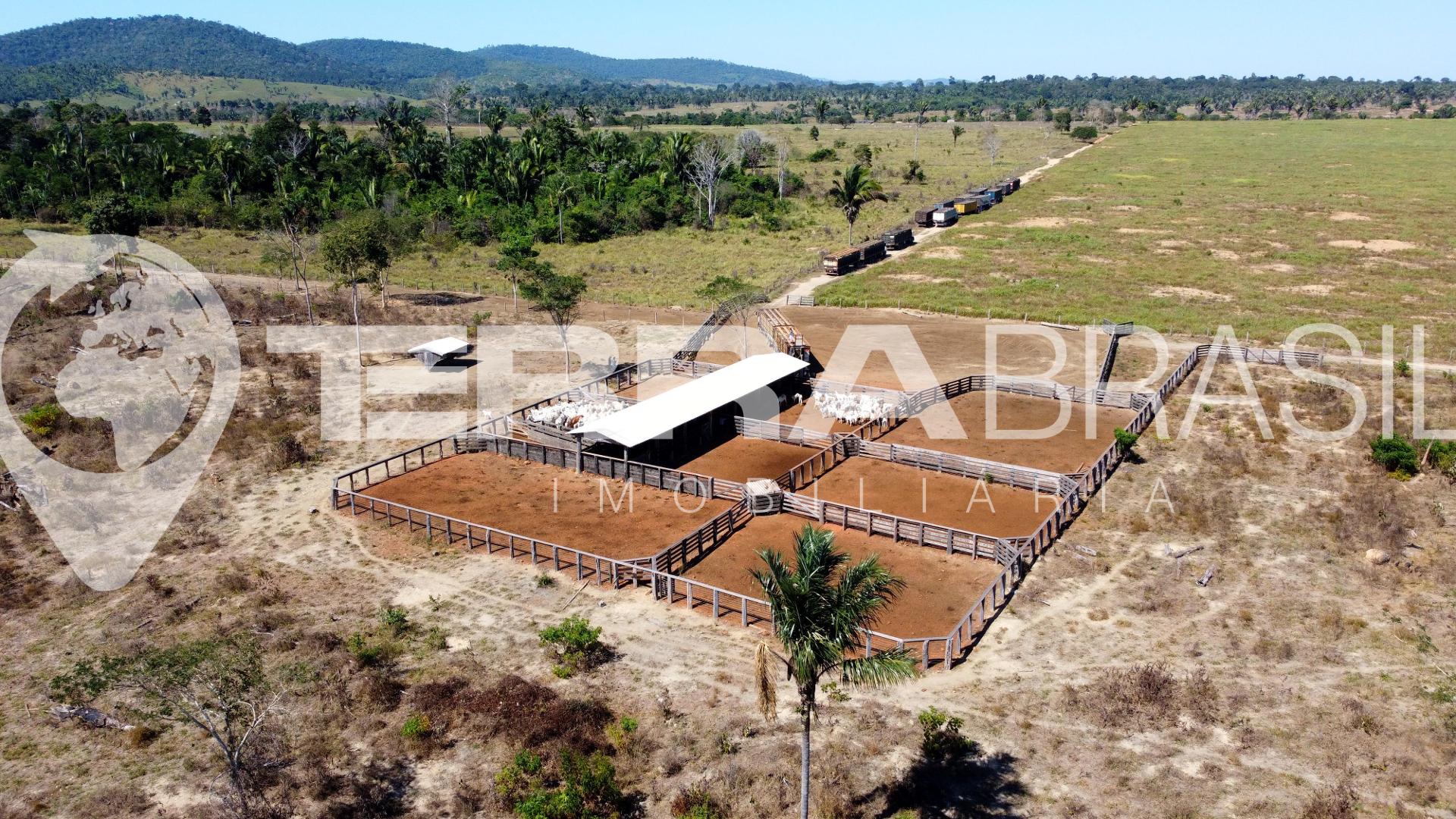 Fazenda à venda, Terras agricultáveis, 556,00 Alqueires, Distr...