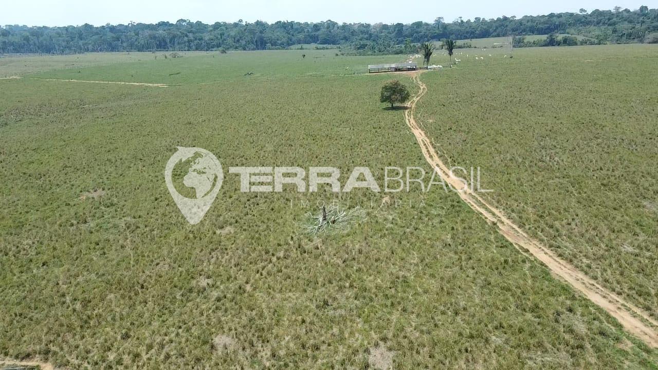 Sitio 42 Alqueires Formado, área destocada agricultável para p...