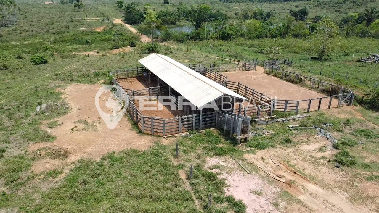 Sitio 98,7 Alqueires, formado, terras agricultáveis, município...