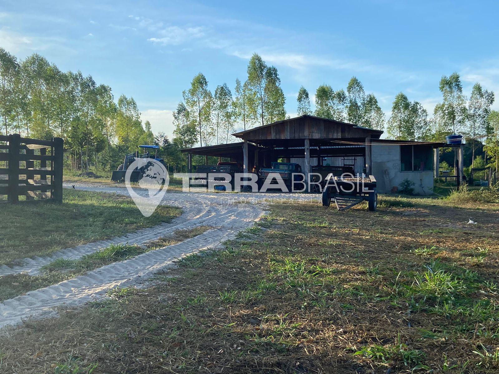Fazenda a venda, 892,00 hectares, à 40 Km de  VILHENA - RO