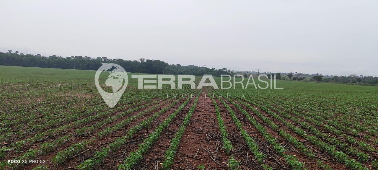Terras para Plantio de Soja e Milho à venda Zona Rural de Seri...