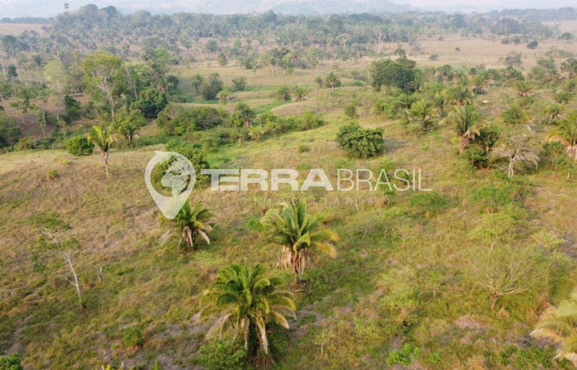 Sítio Escriturado à venda, 12,70 Alqueires  a 5 Km do Asfalto,...