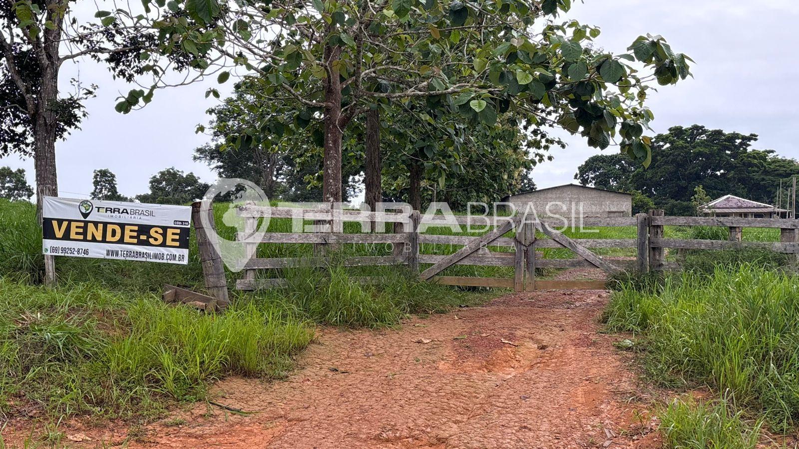 S?tio de 20 Alqueires, Escriturado a 50 km de Ji-Paran? com Es...