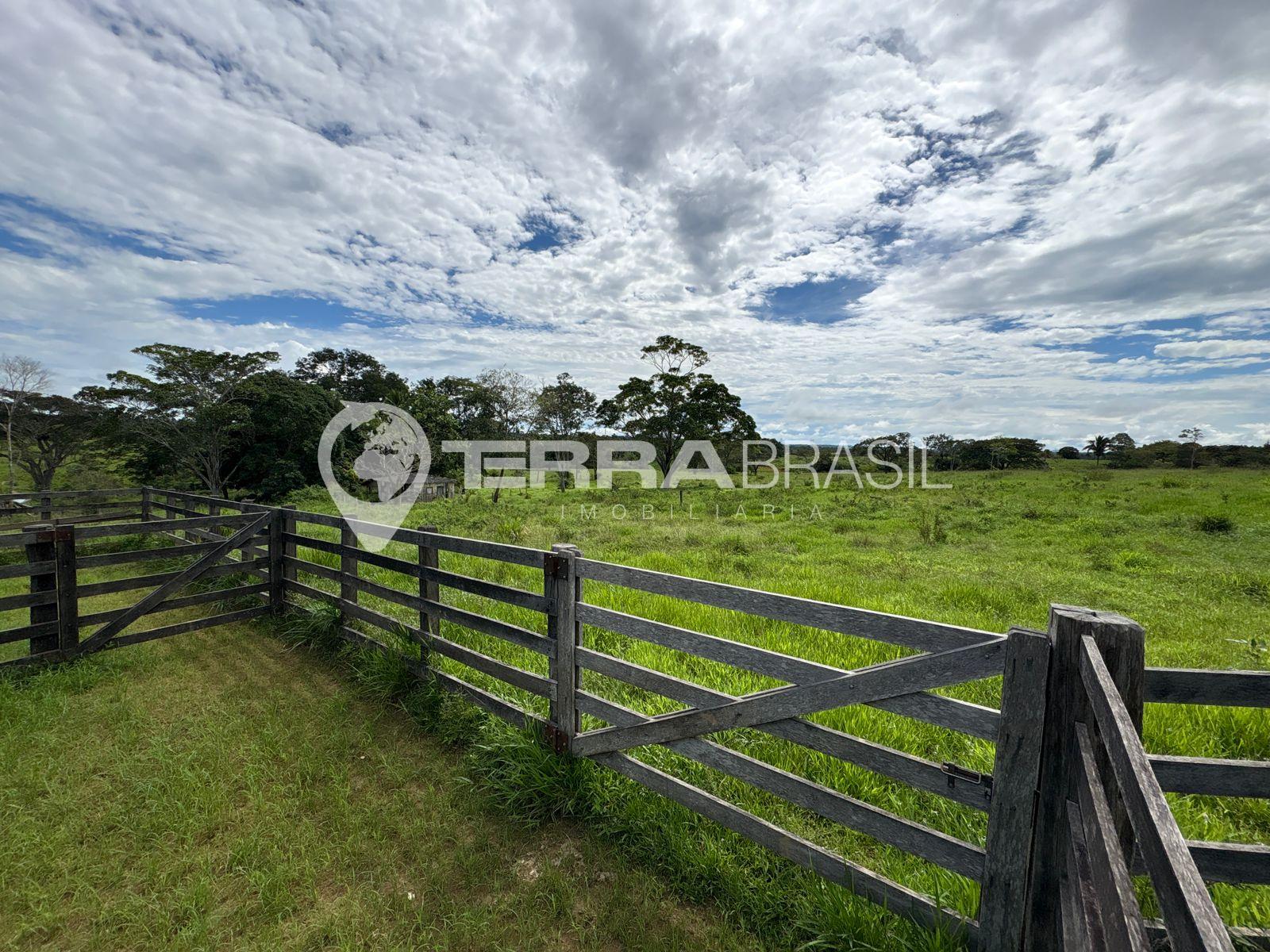 ?rea rural Produtiva e com potencial para mini-ch?caras em loc...