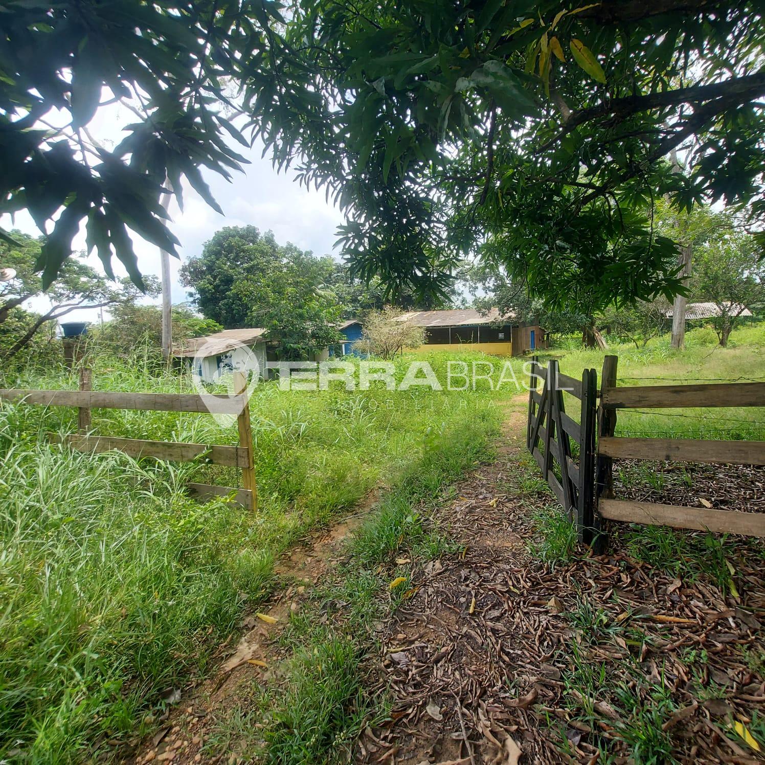 Propriedade Rural com 9,68 Hectares Próxima à BR-364 em Ji-Paraná