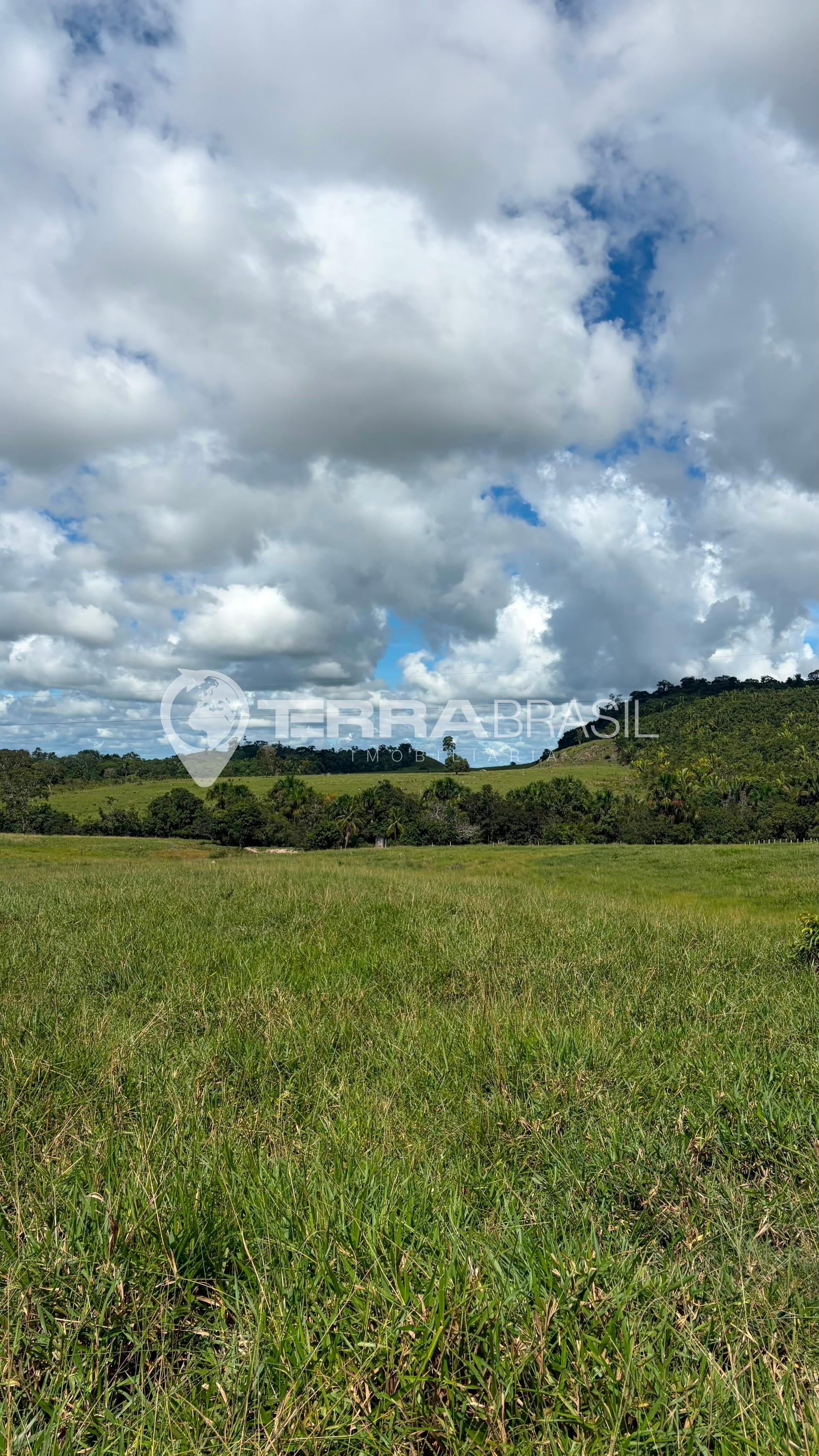 Sitio em Mirante da Serra/RO  22,28 Alqueires  Pastagem Formad...