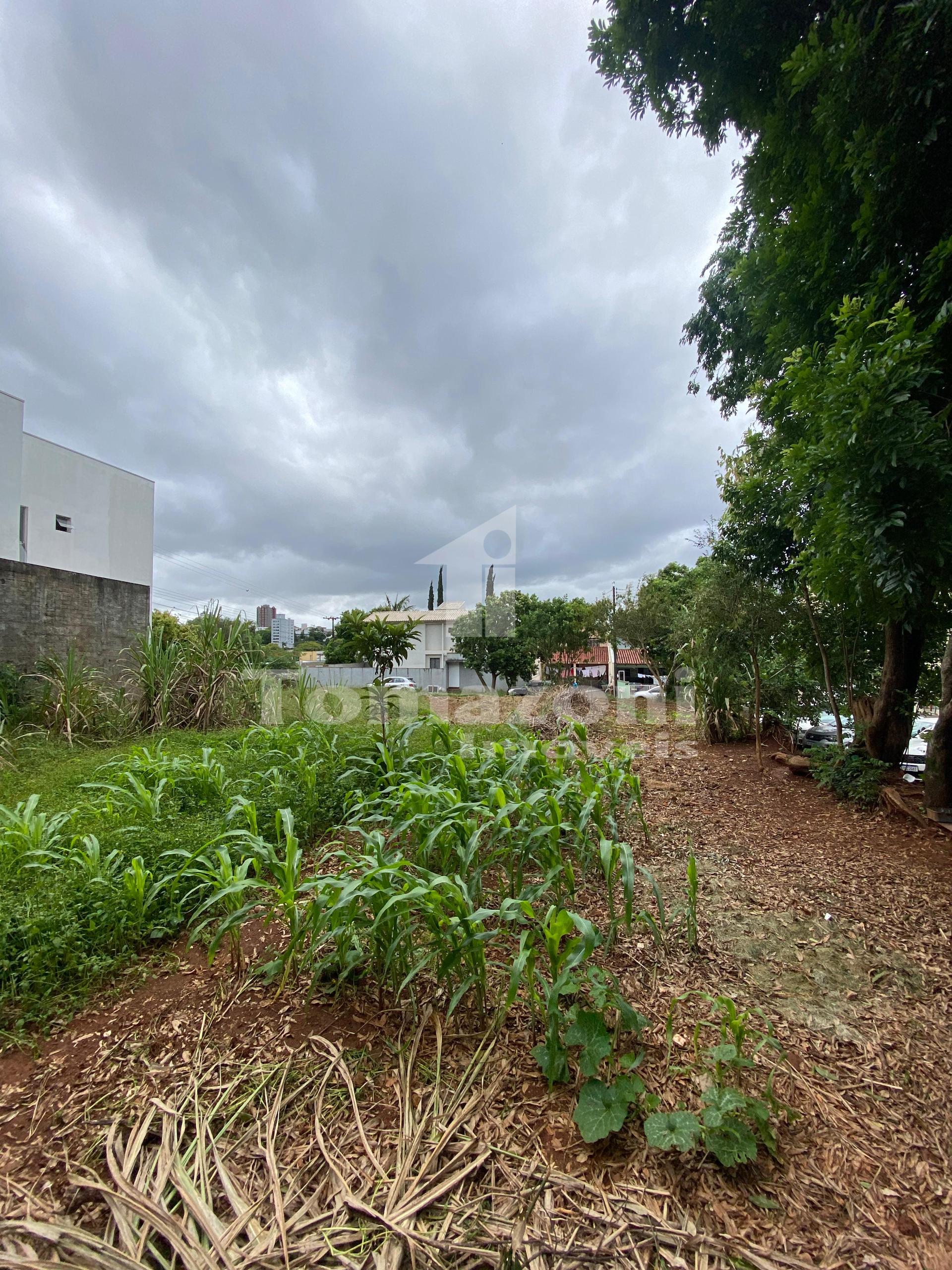 Vieira Imveis em Francisco Beltro PR