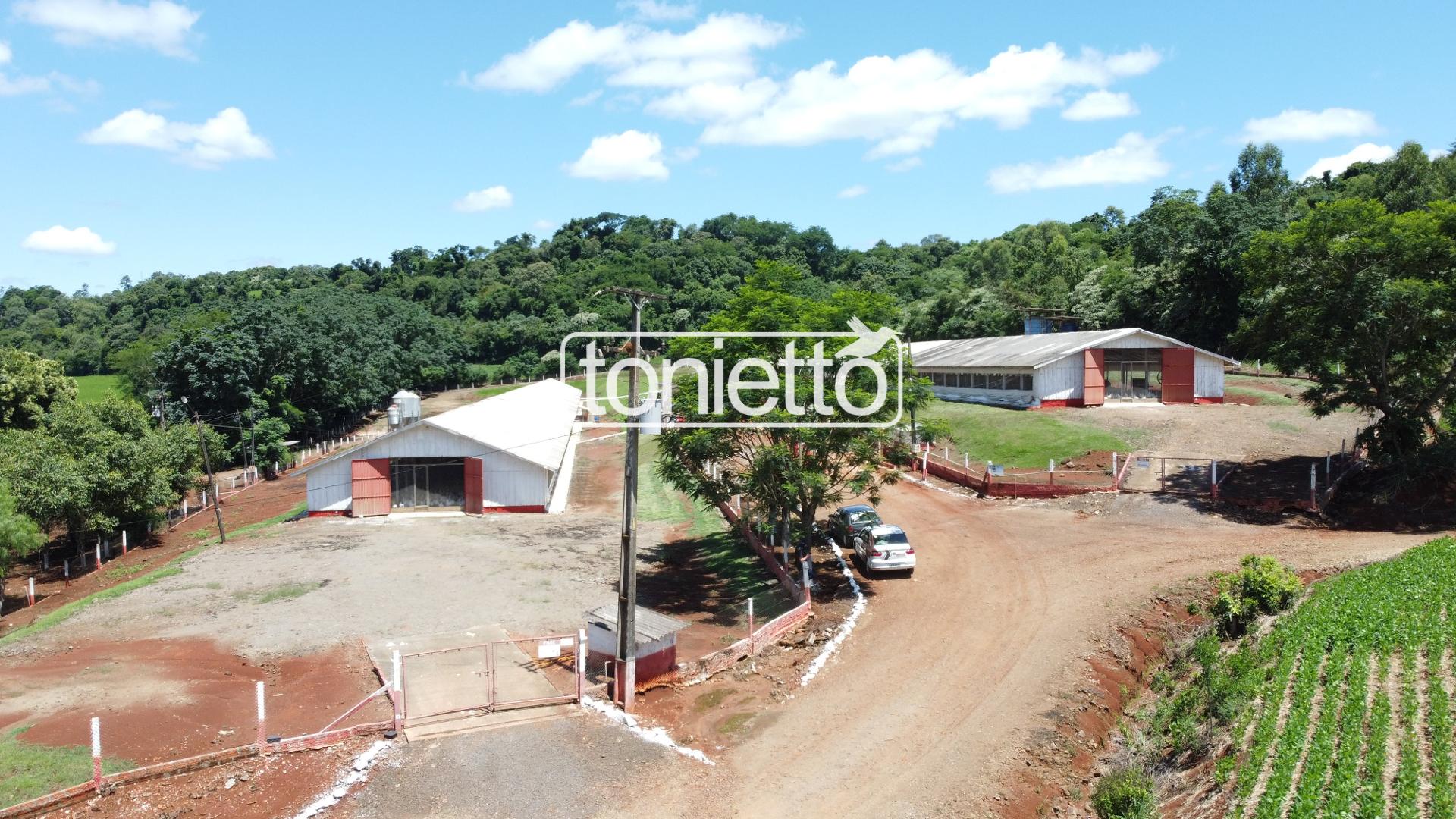 GRANJA DE POSTURA  -  ÁREA RURAL -  DOIS VIZINHOS - PR