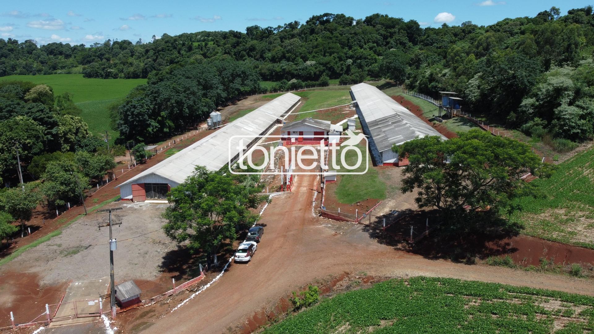 GRANJA DE POSTURA  -  ÁREA RURAL -  DOIS VIZINHOS - PR