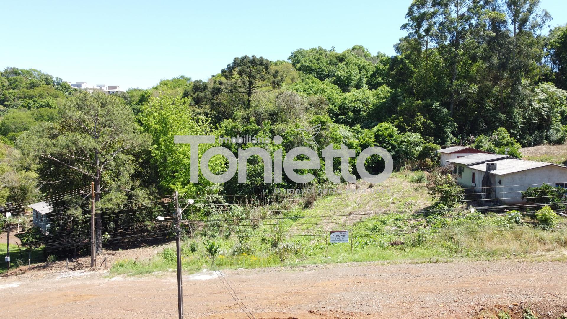 VENDE-SE TERRENO - PARTE NORTE -  DOIS VIZINHOS - PR