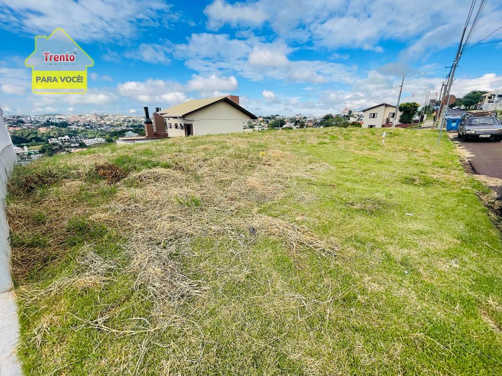 TERRENO NO BAIRRO AMADORI