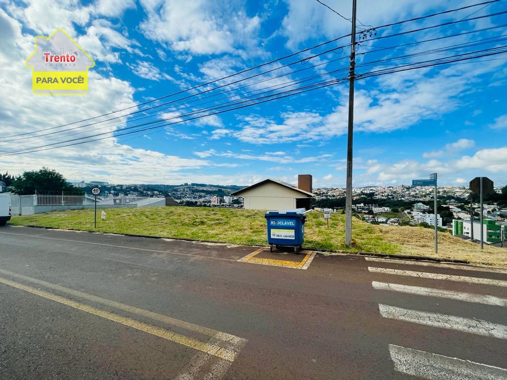 TERRENO NO BAIRRO AMADORI