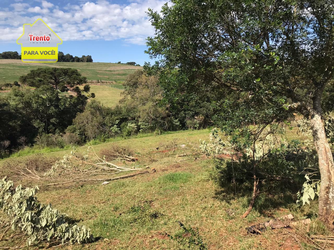 CHÁCARAS A VENDA COM ÓTIMA LOCALIZAÇÃO EM PATO BRANCO - PR