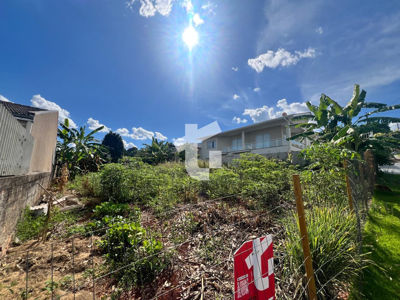 TERRENO PRÓXIMO DO SESI, BAIRRO AMADORI, PATO BRANCO - PR