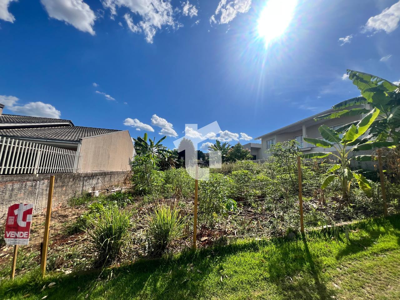 TERRENO PRÓXIMO DO SESI, BAIRRO AMADORI, PATO BRANCO - PR