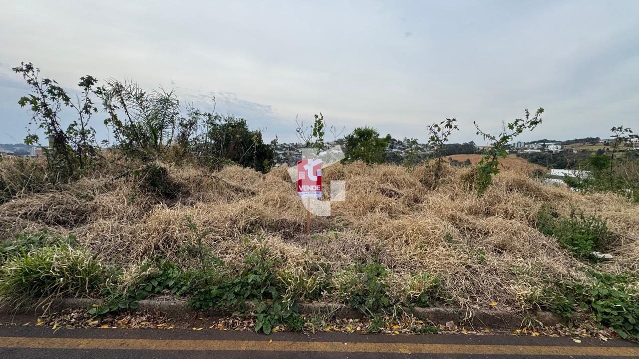 TERRENO À VENDA NO BAIRRO LA SALLE - COM VISTA EM PATO BRANCO-PR
