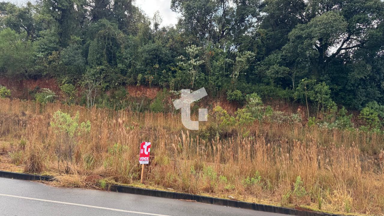TERRENO À VENDA NO BAIRRO SÃO LUIZ, LOTEAMENTO PELOSO -  PATO ...