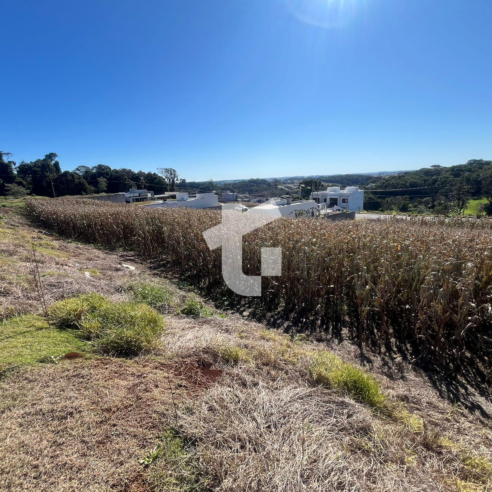 EXCELENTES TERRENOS À VENDA. SÃO 405,00M  NO BAIRRO CADORIN - ...
