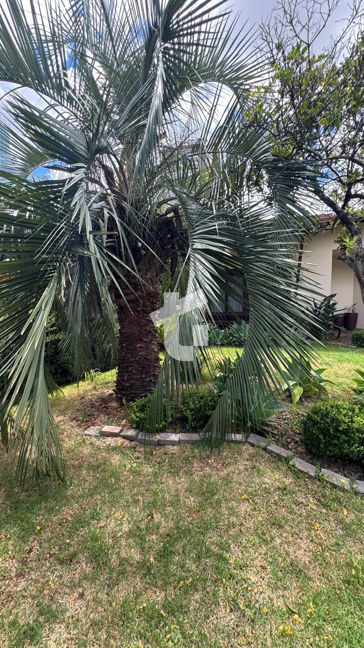 CASA TERRENO A VENDA PROX. TEATRO MUNICIPAL, R. IBIPORÃ,CENTRO...