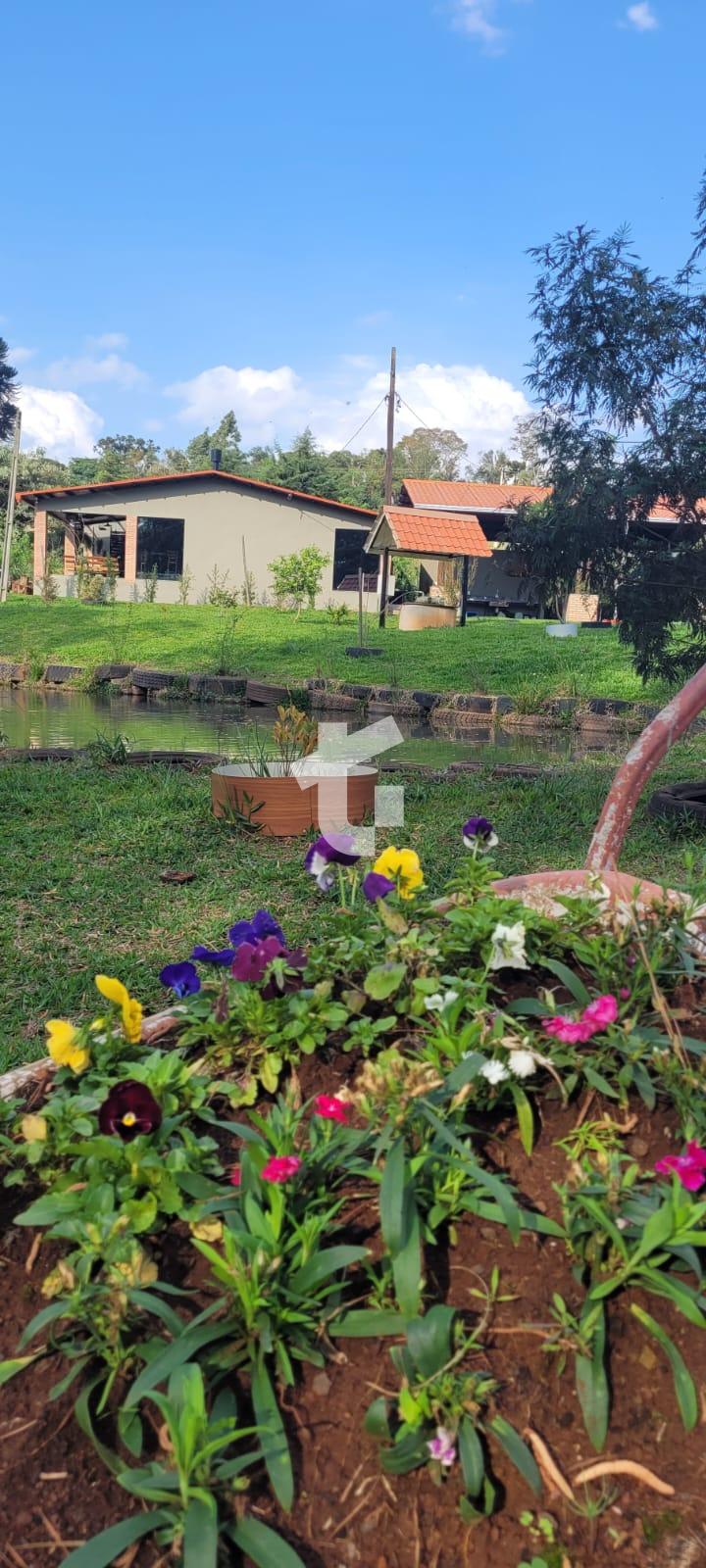 CHÁCARA À VENDA COM DOCUMENTAÇÃO À MENOS DE 5KM DE PATO BRANCO...