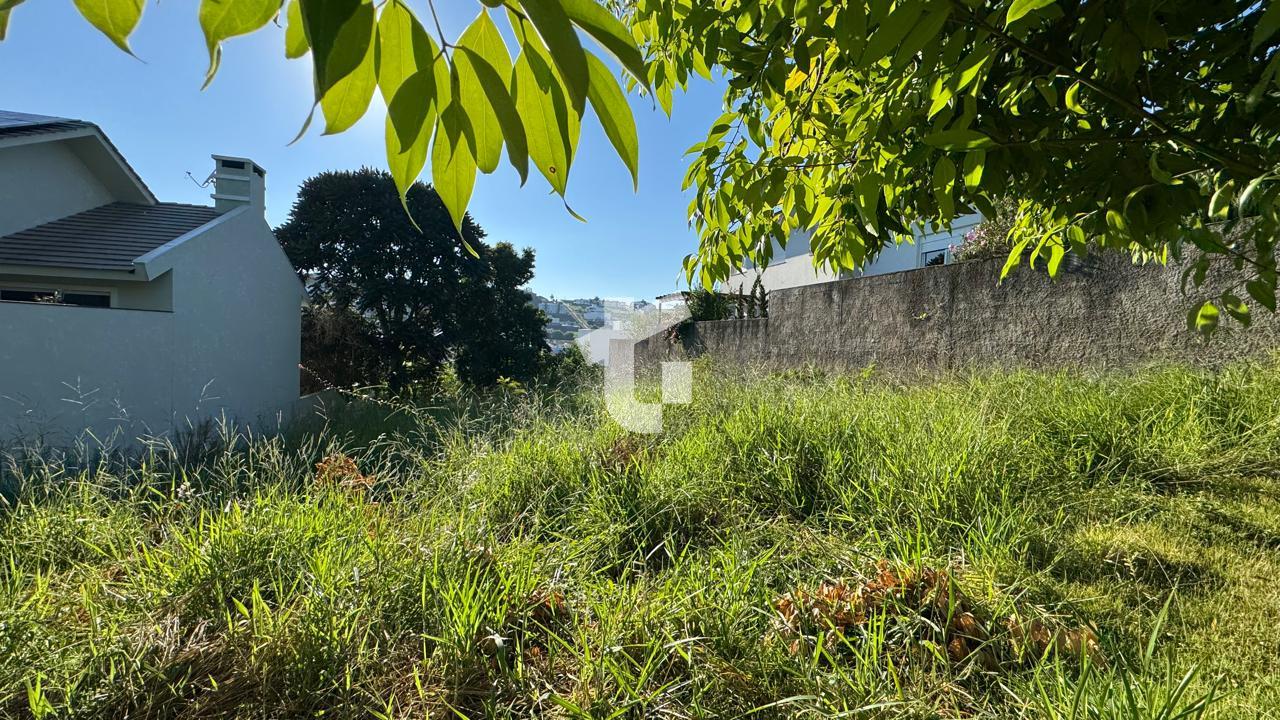 EXCELENTE TERRENO VENDA NO BAIRRO VILA ISABEL, RUA AIMOR - PATO BRANCO,PR.